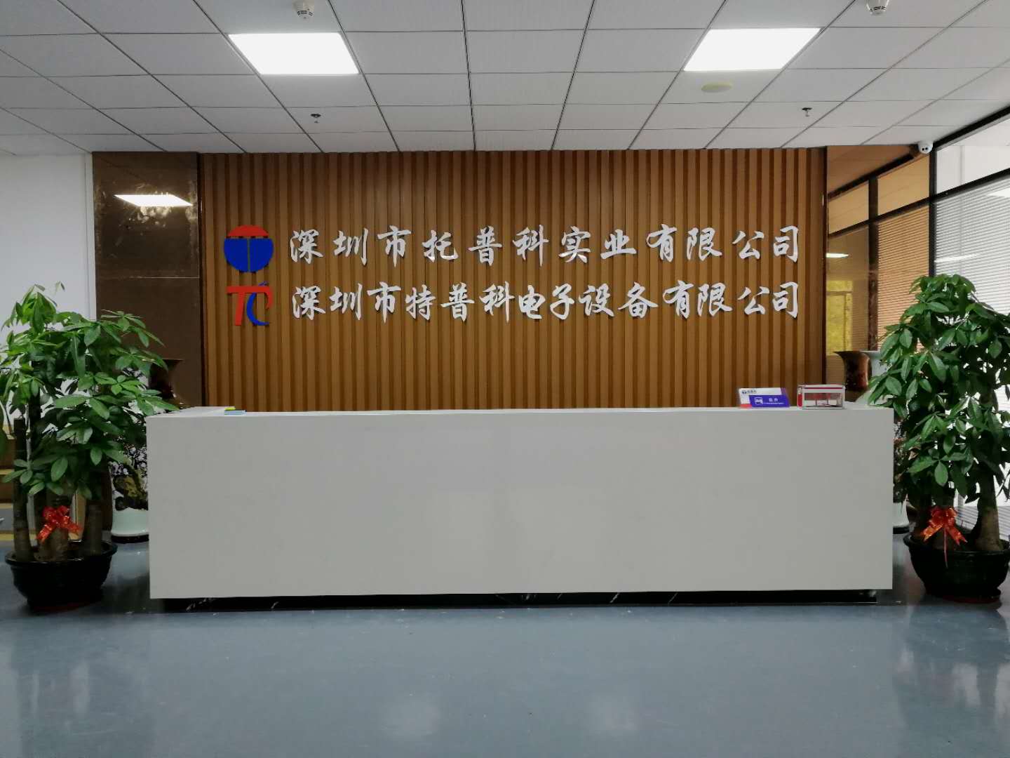 青青草视频app科